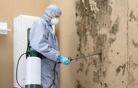 Millsboro, DE Mold Removal & Remediation Company